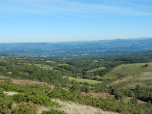 vista-1